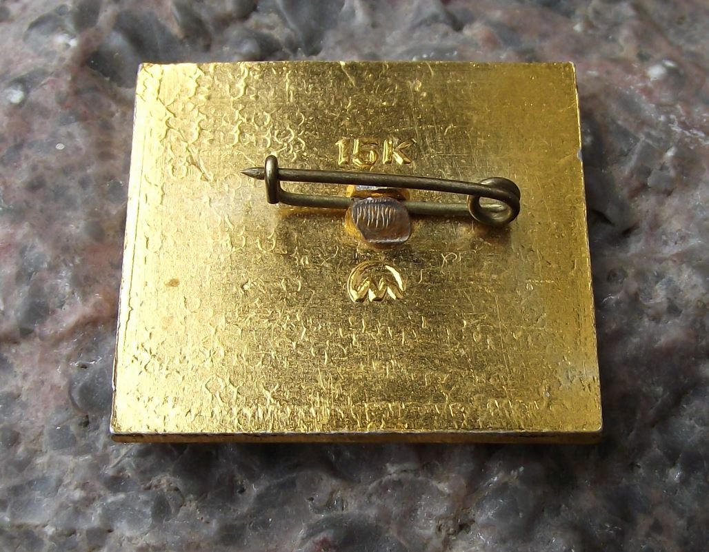 Soviet Union World War 2 II Participation 1941 1945 Eternal Flame Pin Badge - Badgecrazy