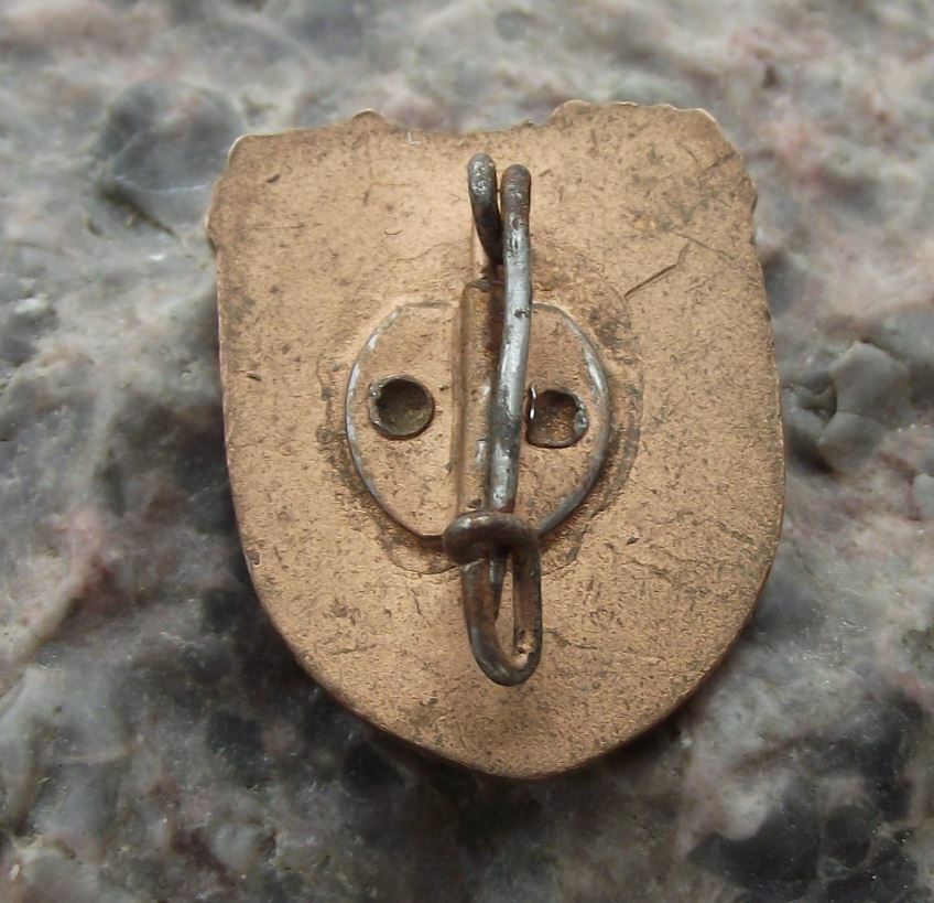 1959 Aufbauwerk NAW East Germany National Front DDR Compass Gold Pin Badge - Badgecrazy