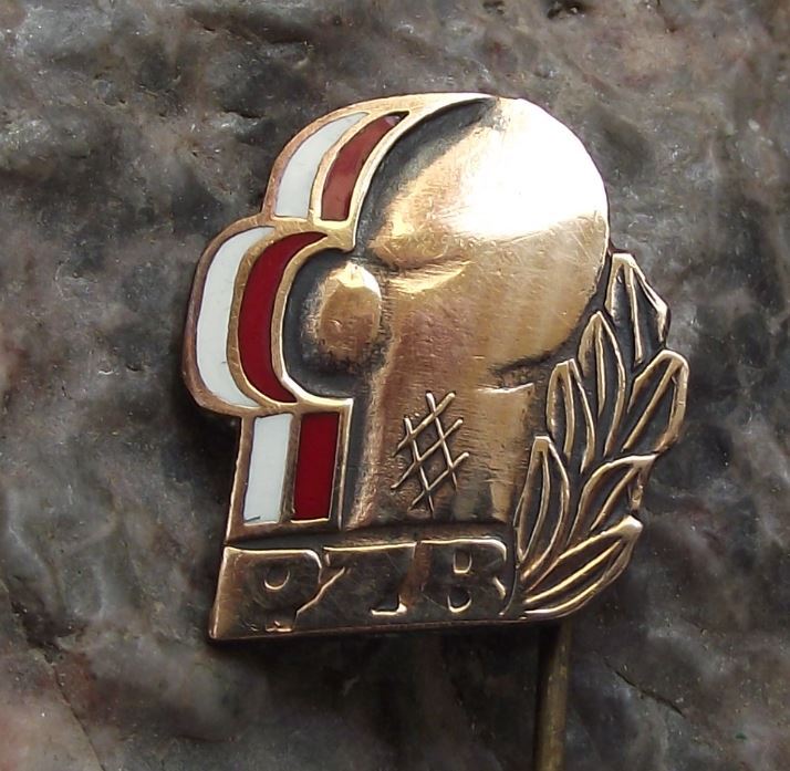 Antique PZB Polish Poland Boxing Association Polski Zwiazek Bokserski Pin Badge - Badgecrazy