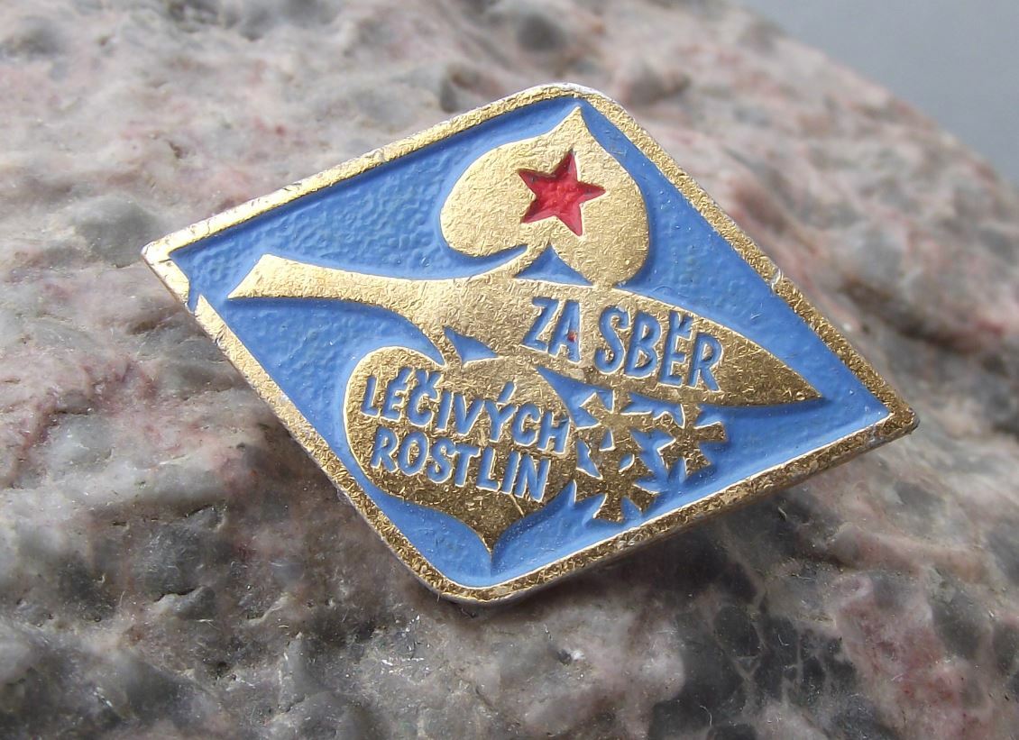 For Outstanding Collection of Medicinal Herbs Czech Herbalist Award Pin Badge - Badgecrazy