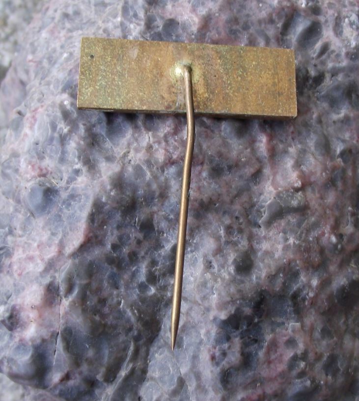1967 Flora Olomouc Olmutz Flower Plant Exhibition Centre Show Expo Pin Badge - Badgecrazy