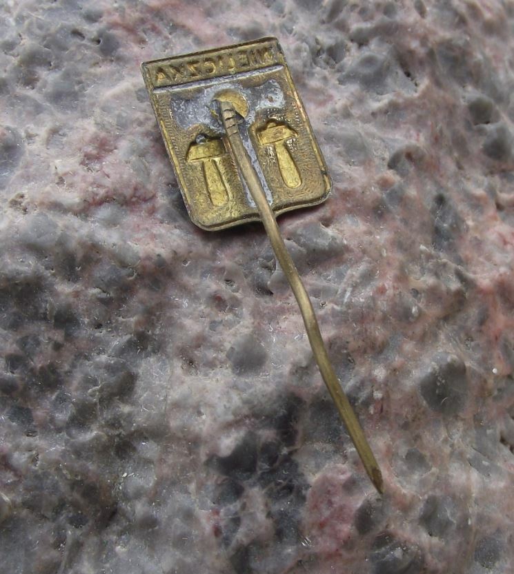 Vintage Wieliczka Poland Polish Heraldic Crest Coat of Arms Pin Badge - Badgecrazy