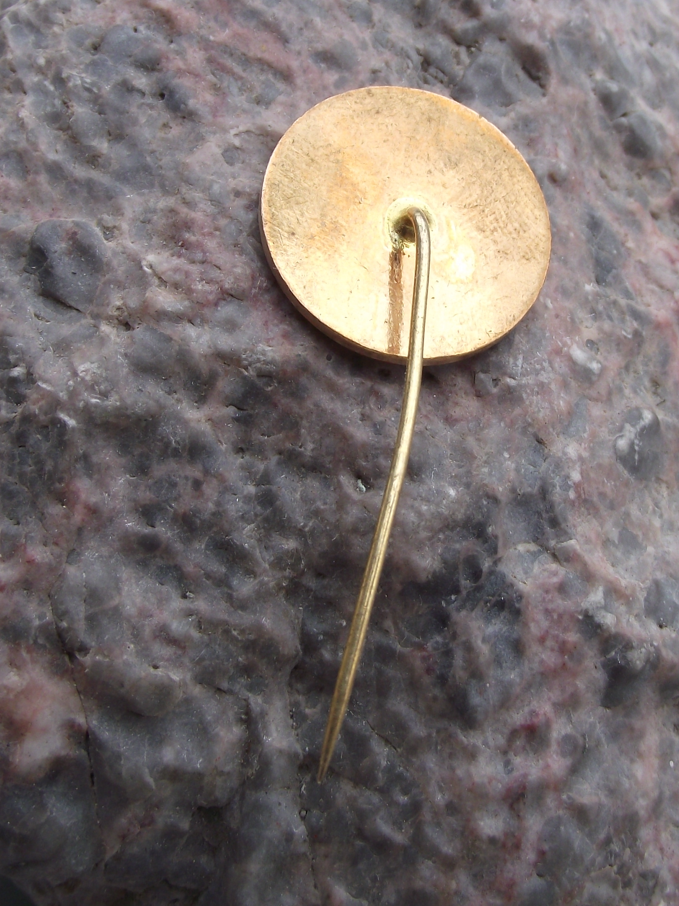 Vintage Union Nationale des Etudiants Marocains UNEM Morrocco Student Pin Badge - Badgecrazy
