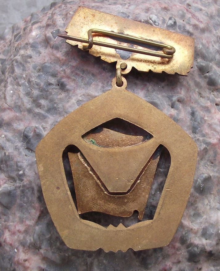 Antique Magyar Szocialista Brigad Hungarian Socialist Brigade Medal Pin Badge - Badgecrazy