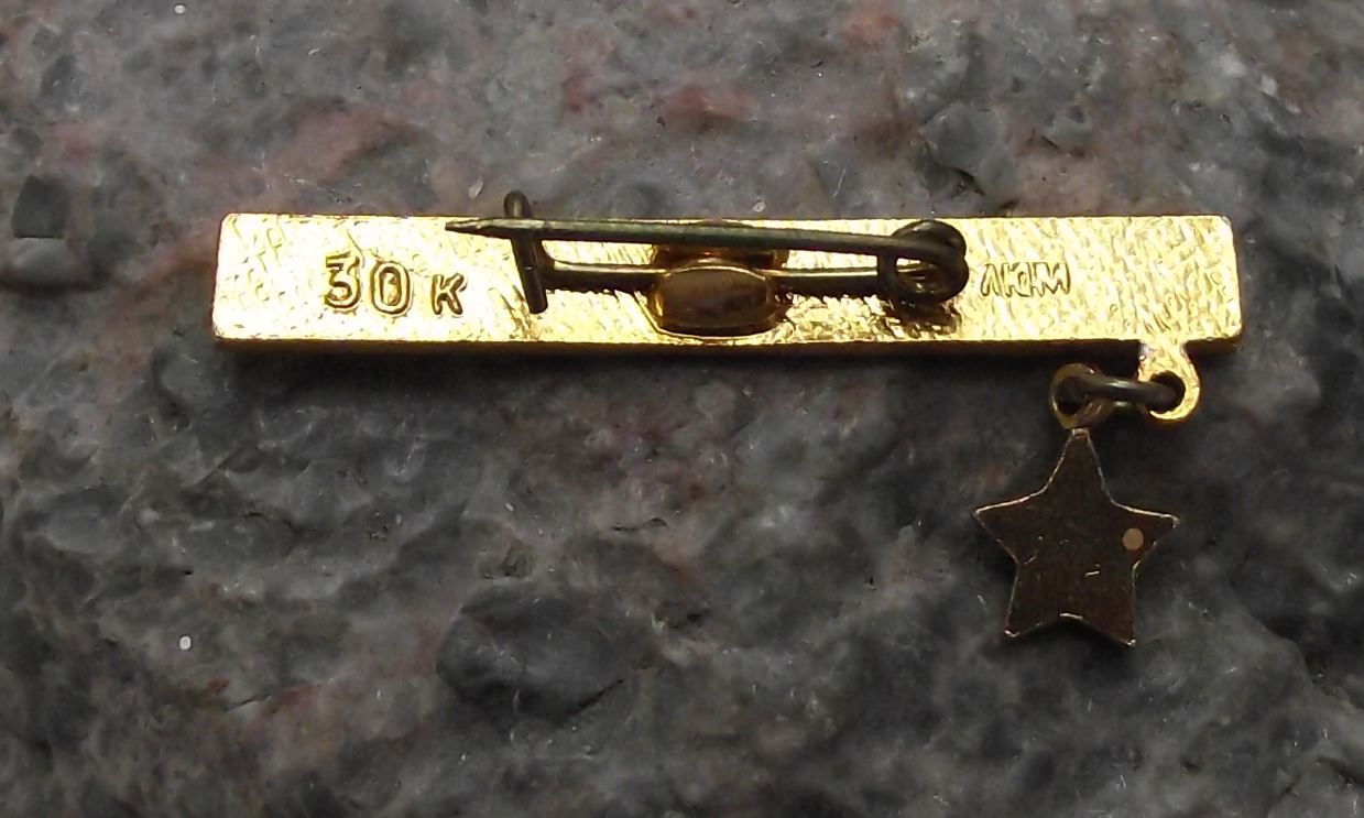 Antique Leningrad Blockade Gold Hanging Star Soviet Union Hero Award Pin Badge - Badgecrazy