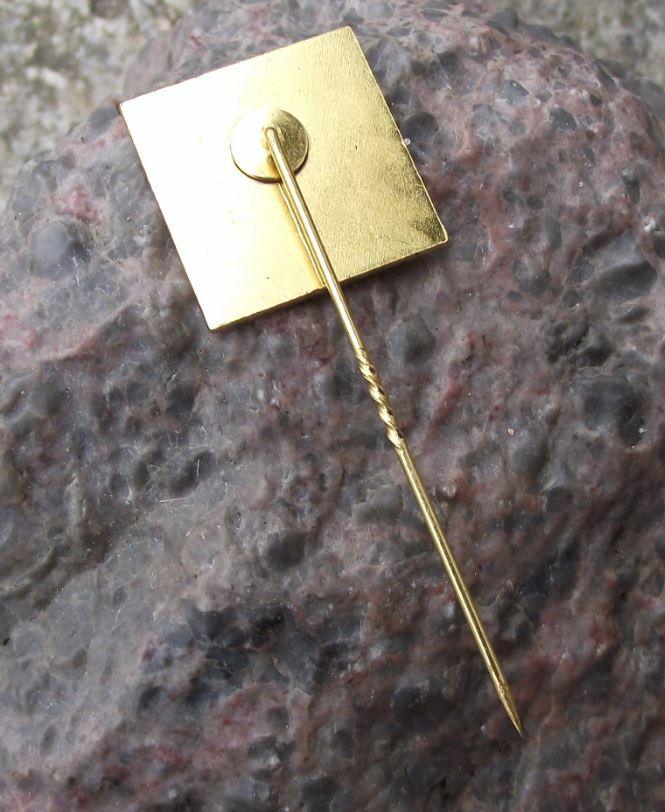 Antique WAP Logo Dampstrahl Reinigung German Pressure Washers Company Pin Badge - Badgecrazy