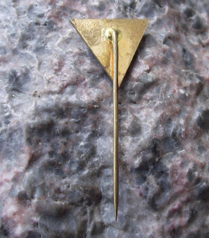 Antique Lipno Lake Dam Boat Yacht Czech Tourist Sailing Yachting Sport Pin Badge - Badgecrazy