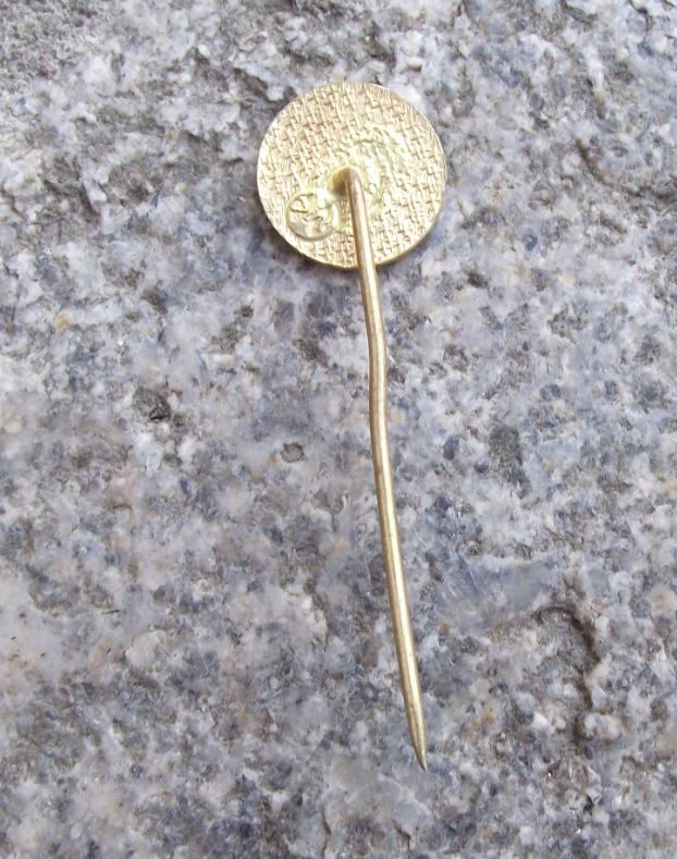 Moravian Caves Moravsky Kras Katerinska Cave Witch Tourist Souvenier Pin Badge - Badgecrazy