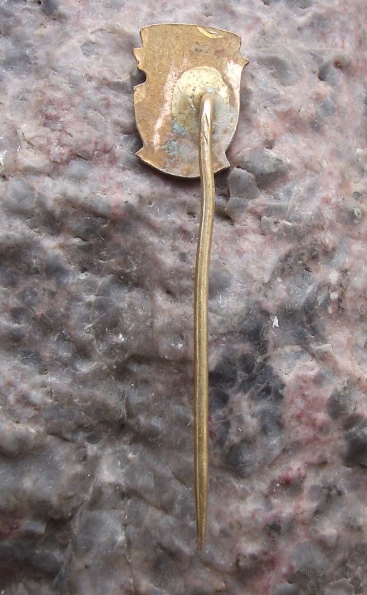 Antique Benesov u Prahy Czech Coat of Arms Heraldic Crest Souvenier Pin Badge - Badgecrazy