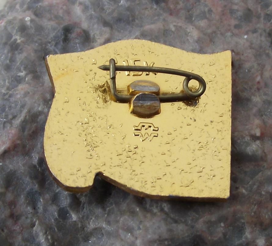 1981 XXVI Russian Communist Party Congress Soviet Union Lenin Flag Pin Badge - Badgecrazy