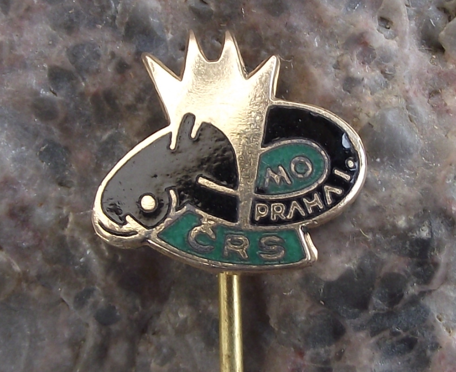 Vintage Prague 1 Fishing Angling Association Catfish Eel Fish Members Pin Badge - Badgecrazy