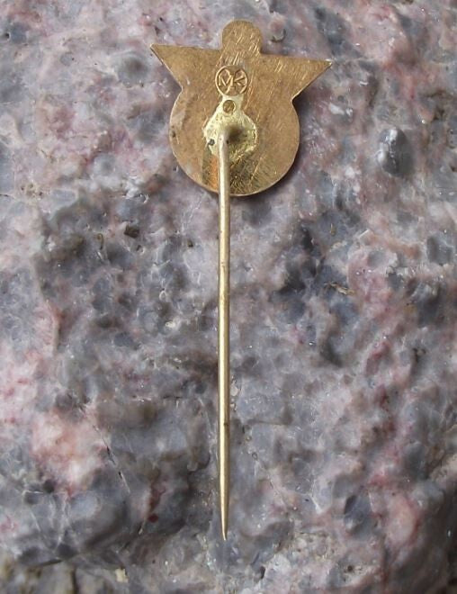 Vintage AIESEC Student Travel Volunteer Work CSSR Czechoslovakia Pin Badge - Badgecrazy