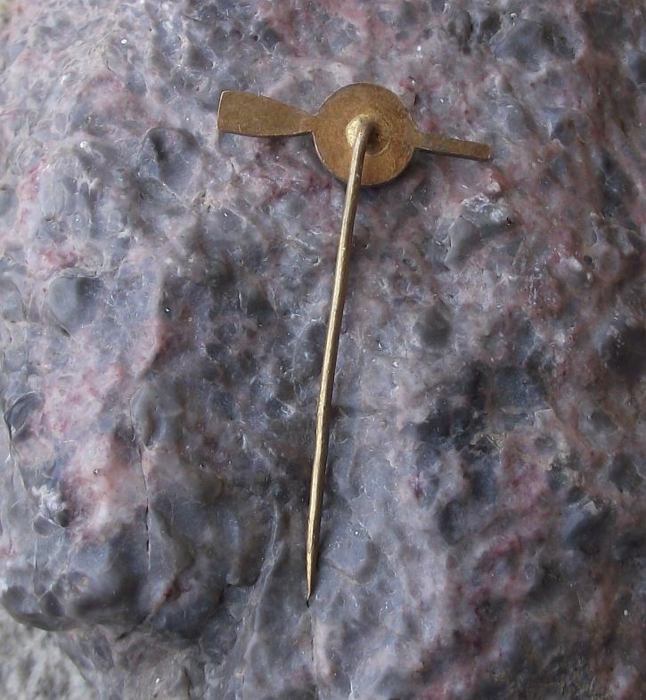 1964 Czech National Rowing Association 80th Anniversary Oar Logo Pin Badge - Badgecrazy