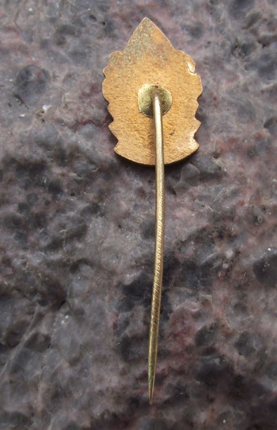 Antique Biskupska Vinarna Bishops Vineyard Hospoda Czech Pub Tavern Pin Badge - Badgecrazy
