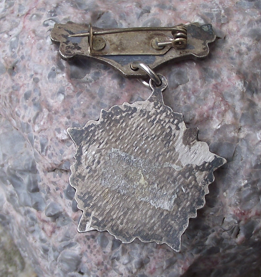 Vintage Svazarm Czech CSSR Army Para Military Education Award Medal Pin Badge - Badgecrazy