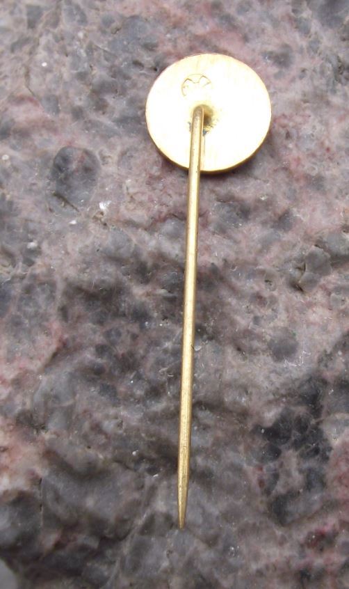 Antique Povazska Bystrica Czechoslovakia Heraldic Crest Coat of Arms Pin Badge - Badgecrazy