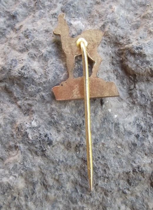 Antique Karlovy Vary Carlsbad Deer Emblem Mascot Chamois Spa Town Pin Badge - Badgecrazy