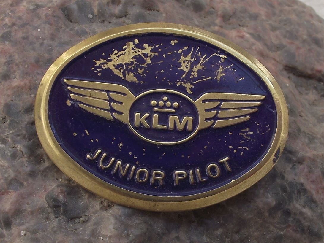 KLM Royal Dutch Airlines Holland Young Junior Pilot Wings Aircraft Pin Badge - Badgecrazy