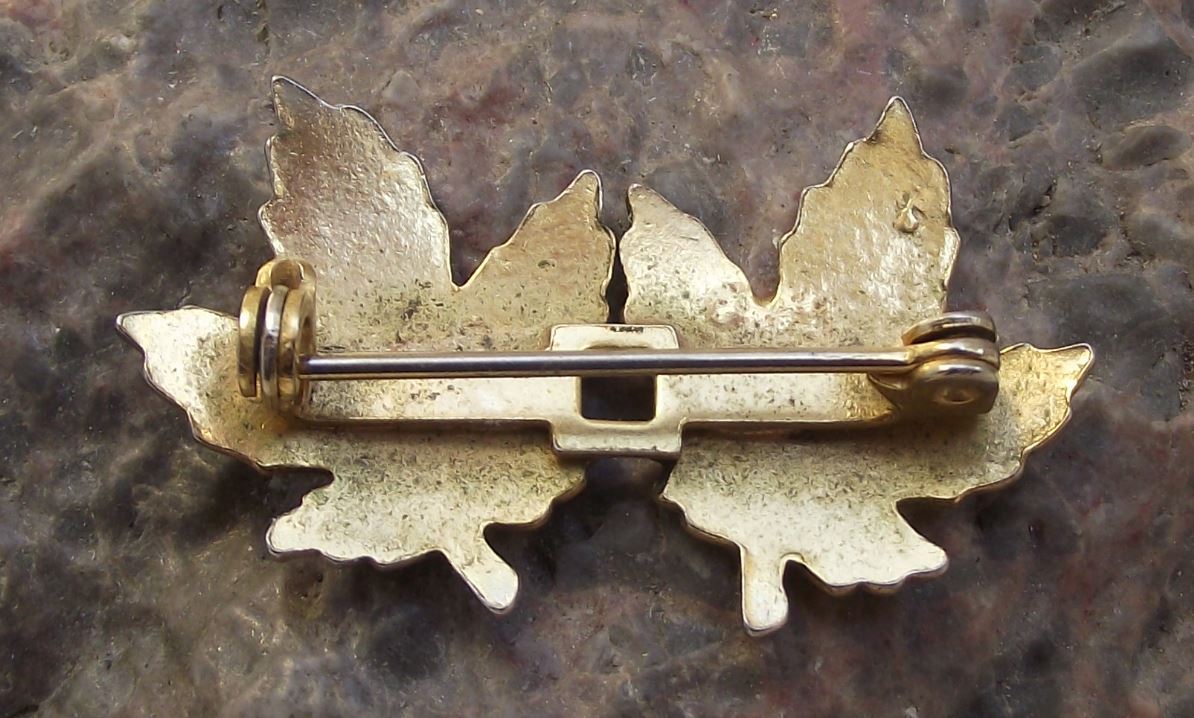 Antique Vancouver Canada Maple Leaf Autumn Colours Fall Canadian Pin Badge - Badgecrazy