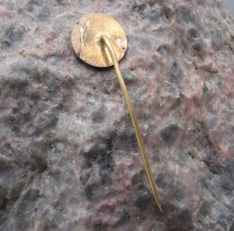 Antique Trutnov Czech Fishing Angling Association Leaping Trout Fish Pin Badge - Badgecrazy