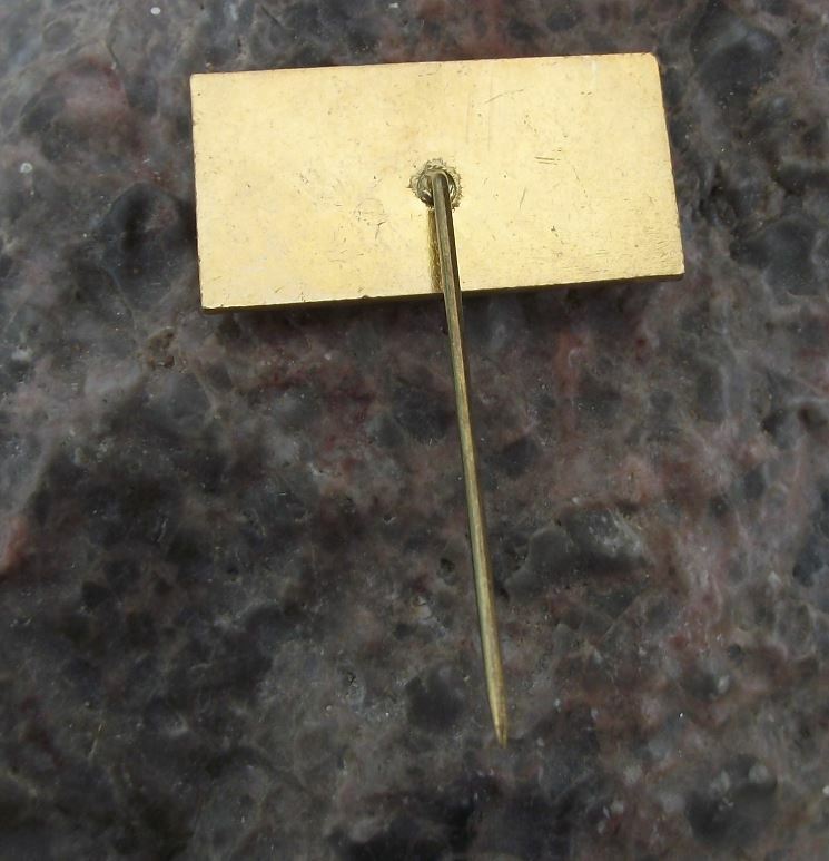 Antique Spindlerova Bouda Krkonose Park Czech Mountain Hikers Cabin Pin Badge - Badgecrazy