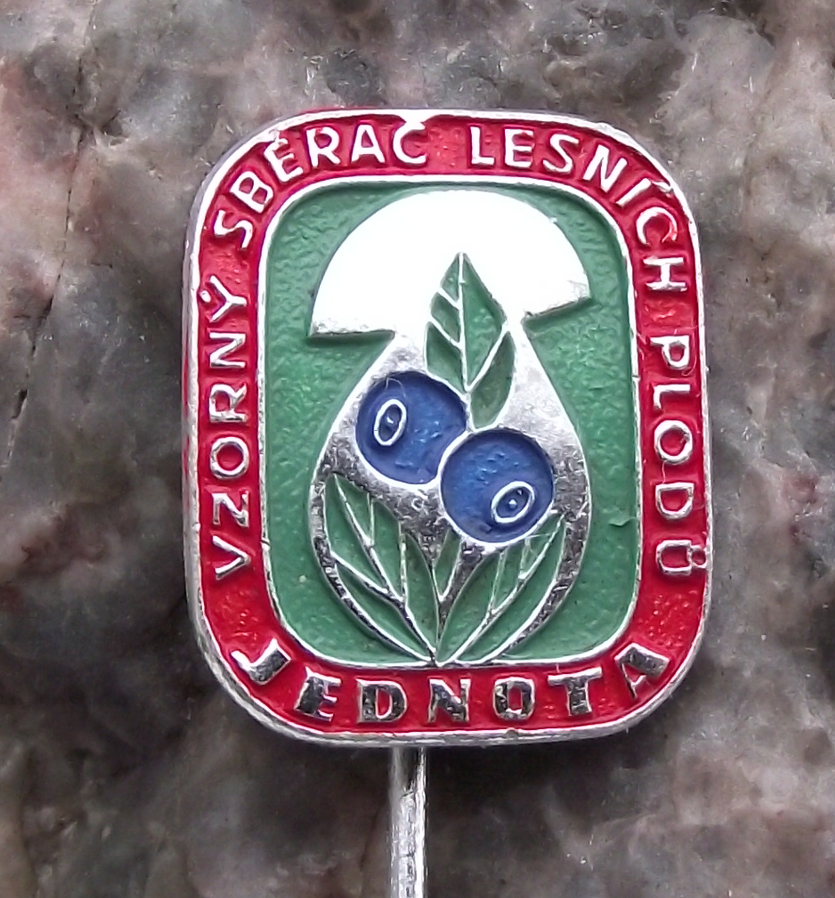 Vintage Collector of Forest Fruits Woodland Mushroom Blueberry Award Pin Badge - Badgecrazy