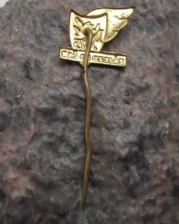 1958 Czech National Theater Prague Theatre Divadlo 75th Anniversary Pin Badge - Badgecrazy