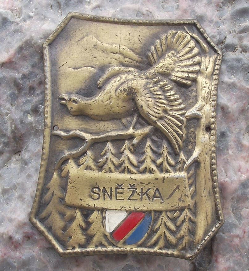 Vintage Snezka Mountain Grouse Hunter Metal Walking Stick Shield Stocknagel - Badgecrazy