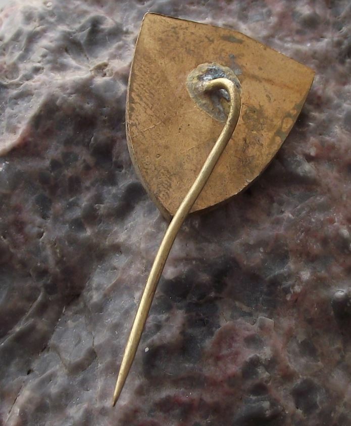 Vintage Young Forest Protector of Nature Defender Countryside Activist Pin Badge