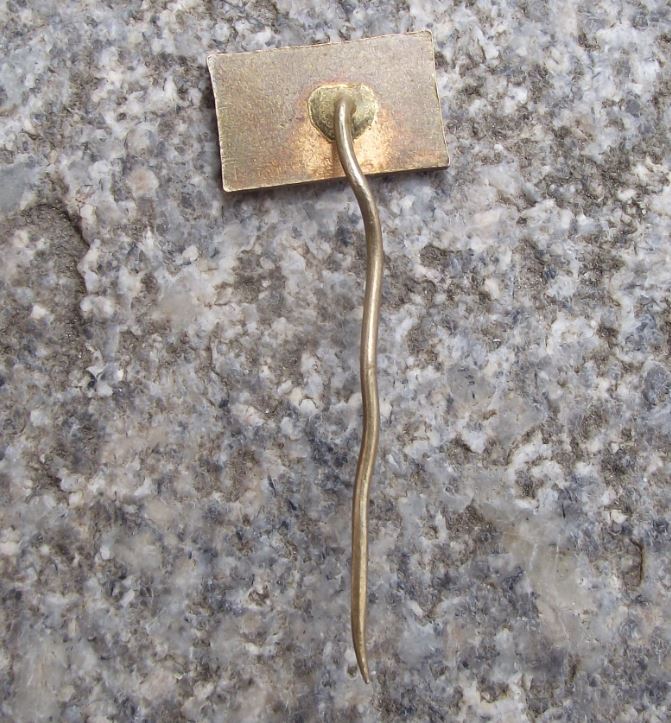 Antique Jesenik Lazne Priessnitzovy Spa Czechoslovakia Souvenier Pin Badge - Badgecrazy