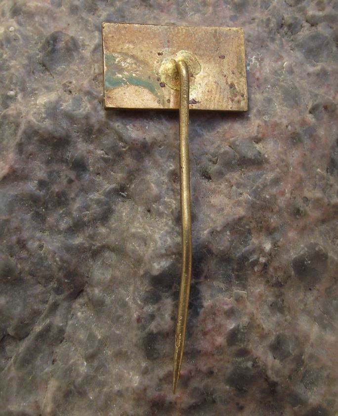 Antique Lucni Bouda Krkonose National Park Czech Mountain Hikers Cabin Pin Badge - Badgecrazy