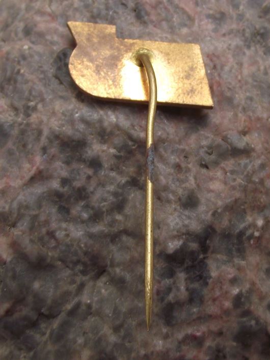 Box Official Czechoslovakia Czech Boxing Association Flag Glove Pin Badge - Badgecrazy