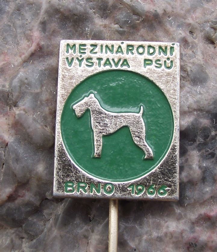 1966 International Dog Breeders Club Show Event Brno Schnauzer Breed Pin Badge - Badgecrazy