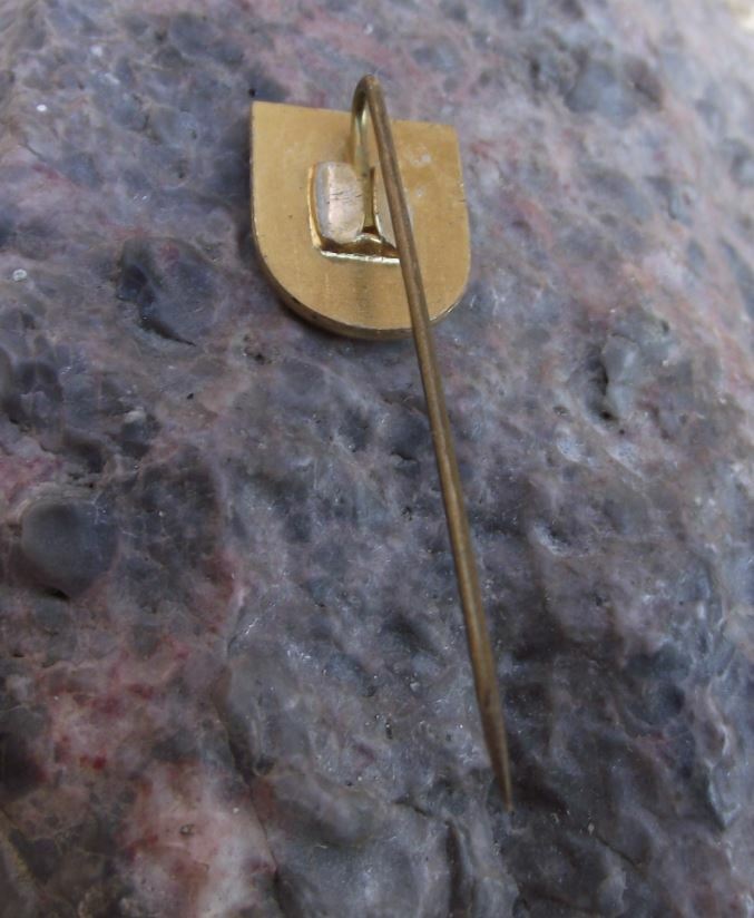 Antique Heringsdorf Kaiserbad Germany Herring Fish German Coat of Arms Pin Badge - Badgecrazy