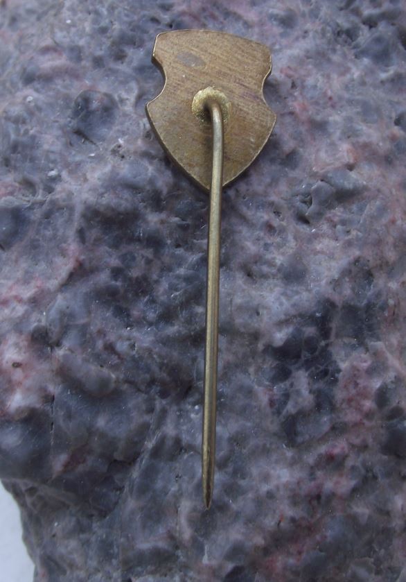 Antique Piestany Czechoslovakia City Coat of Arms Heraldic Crest Pin Badge - Badgecrazy