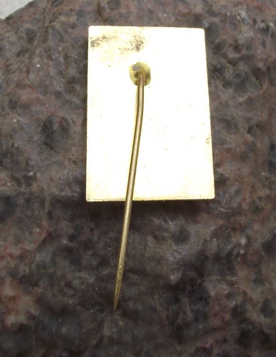 1982 Czechoslovakia Boxing Title Fight Usti nad Labem Glove Lion Pin Badge - Badgecrazy
