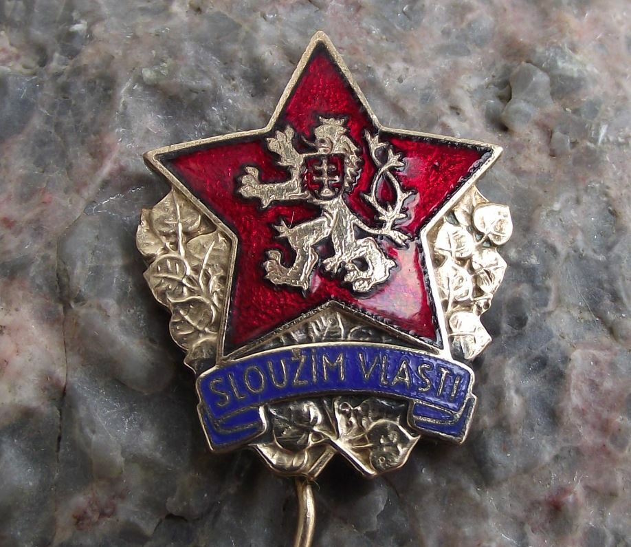 Rare 1940s Country Service Slouzim Vlasti Czech Military Lion Star Pin Badge - Badgecrazy