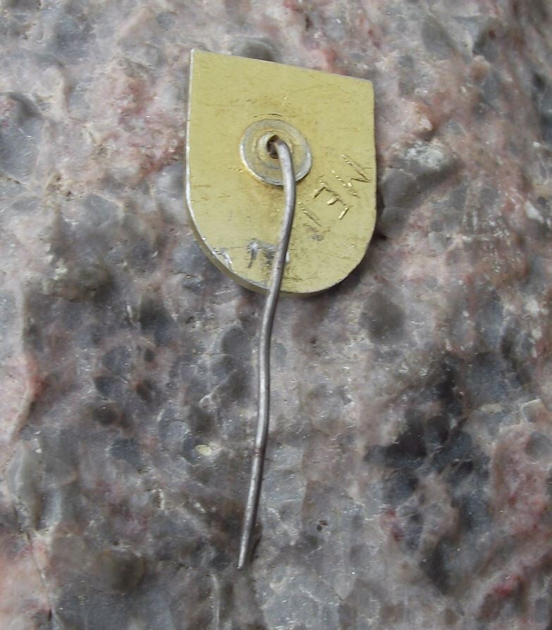 Vintage Koscierzyna Polish City Poland Heraldic Crest Coat of Arms Pin Badge - Badgecrazy