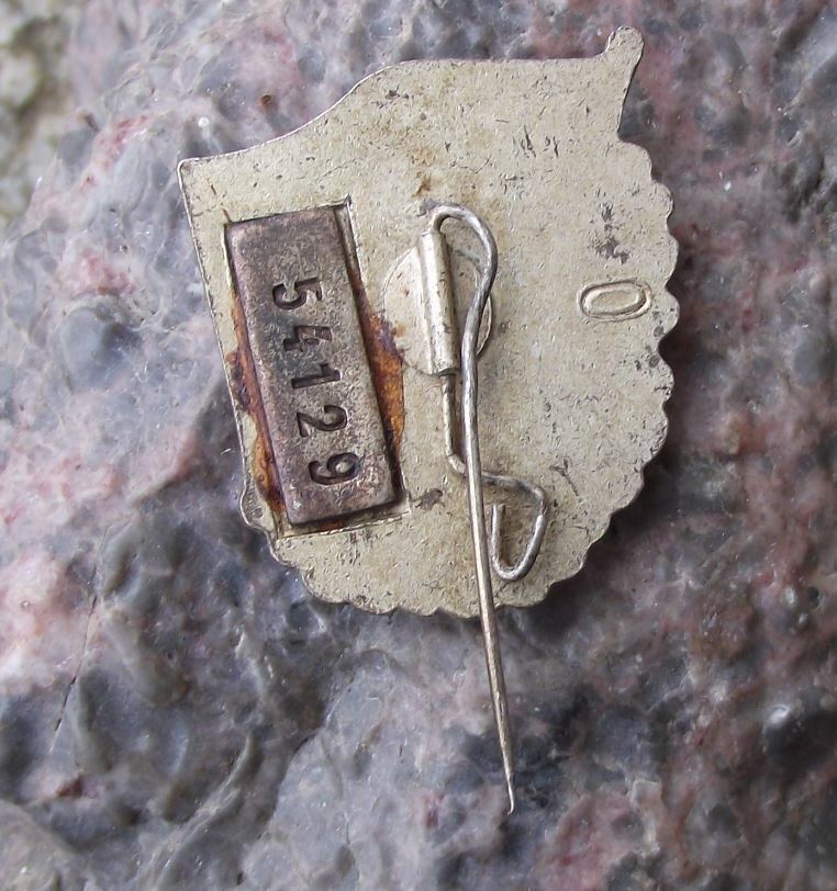 1955 FDJ Freie Deutsche Jugend Gutes Wissen DDR Youth Numbered Award Pin Badge