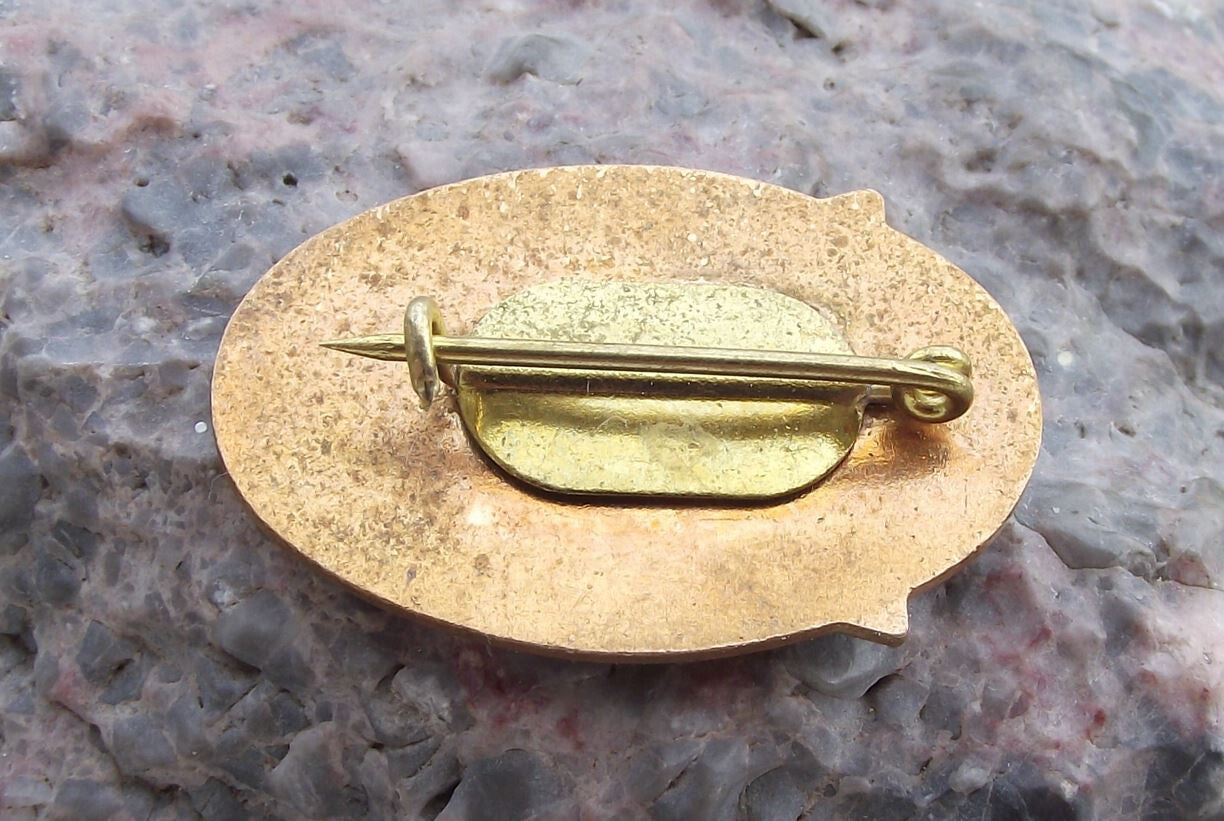 1965 International Teachers Conference Algeria Attendee Education Pin Badge - Badgecrazy