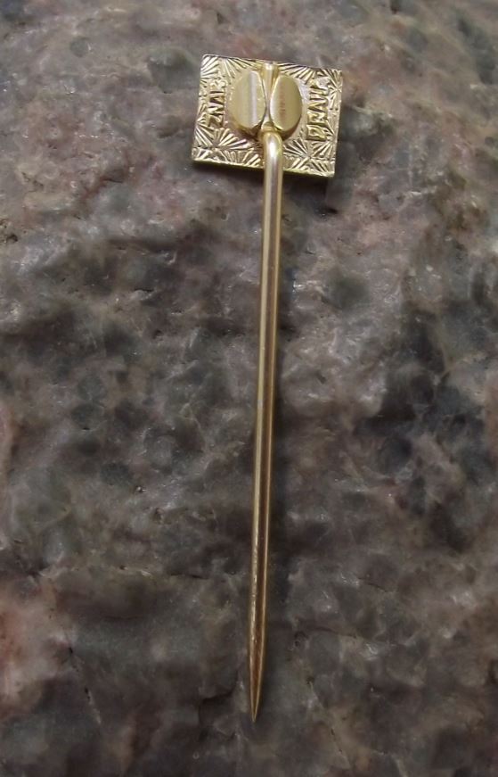 Small Ceska Statni Televize CST Czech State Television Broadcasting Pin Badge - Badgecrazy