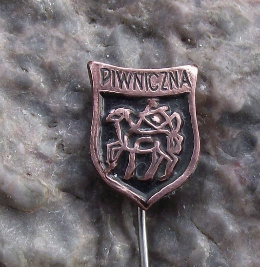 Antique Piwniczn Zdroj Heraldic Crest Polish Coat of Arms Poland Pin Badge - Badgecrazy