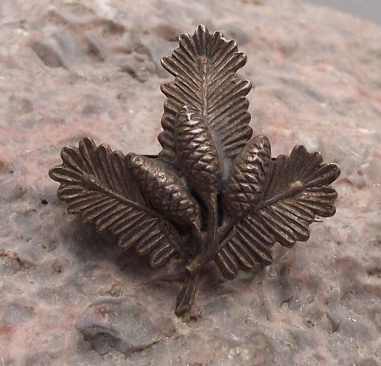 Vintage Hunting Association Emblem Pine Cones Fir Tree Clasp Hunters Pin Badge - Badgecrazy