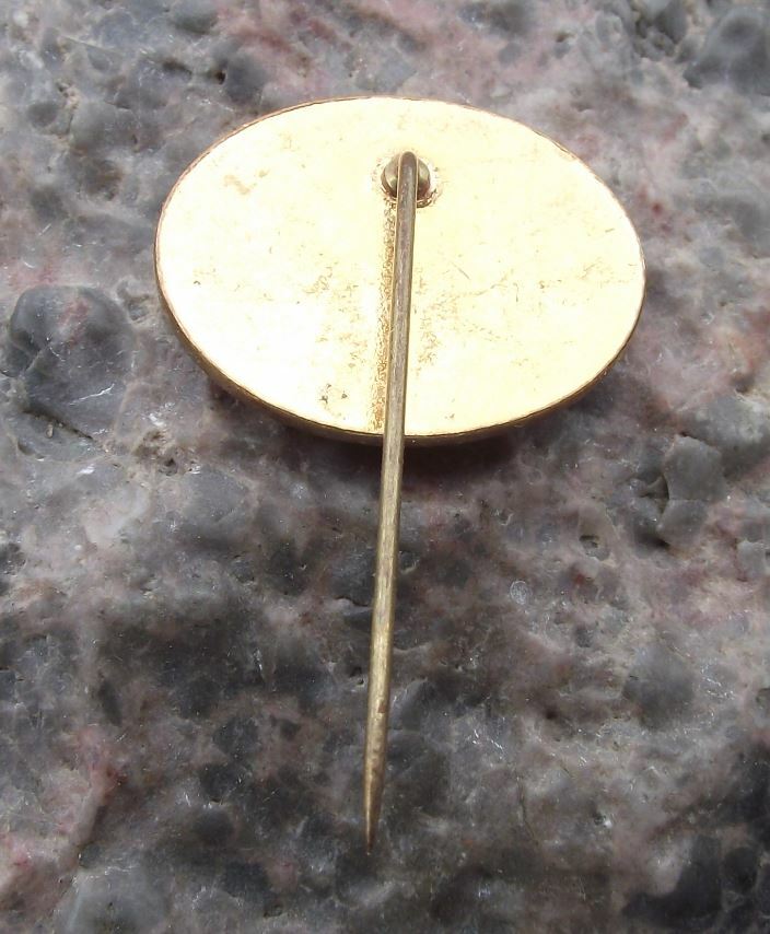 Antique Pivovar Klaster Hradiste Czech Monastery Brewery Beer Lager Pin Badge - Badgecrazy