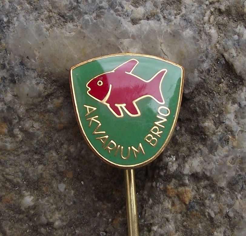 Tetra Barb Aquarium Tropical Fish Keepers Club Brno Czechoslovakia Pin Badge - Badgecrazy