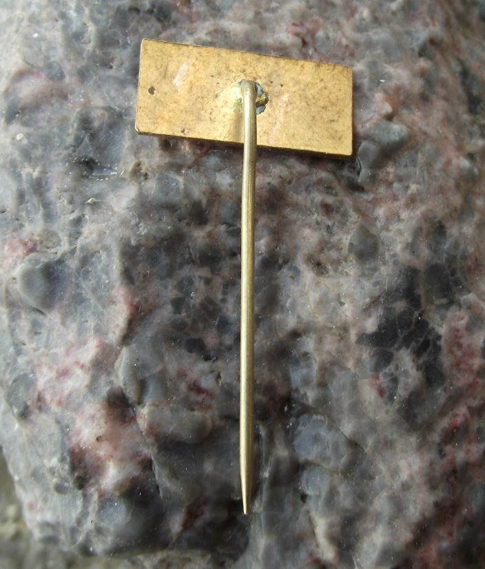 Vintage Chata Serak Czech Mountain Hotel Jesenik Tourist Souvenier Pin Badge - Badgecrazy