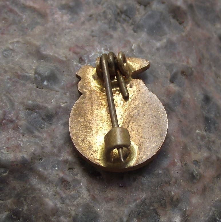 Antique Czech Red Cross Association Medical Young Youth Medic Uniform Pin Badge - Badgecrazy