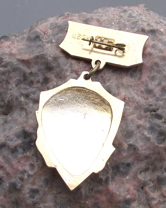 Vintage Kiev Ukraine Order of Lenin for Heroism WW2 Hero City Crest Pin Badge - Badgecrazy