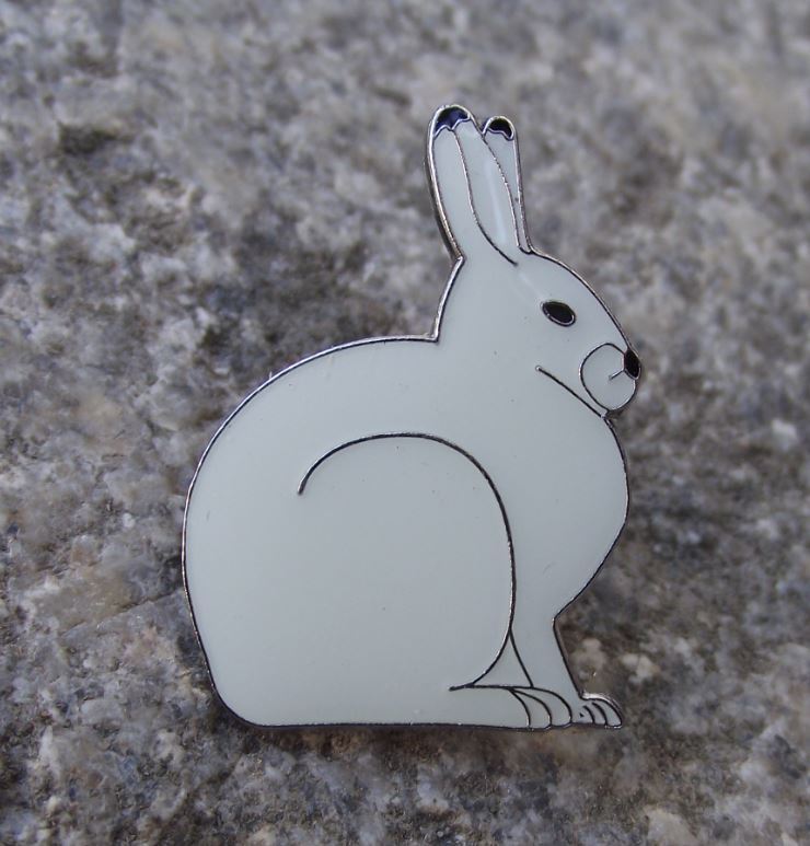 European White Mountain Hare Rabbit Wildlife Brooch Wild Animal Mammal Pin Badge - Badgecrazy