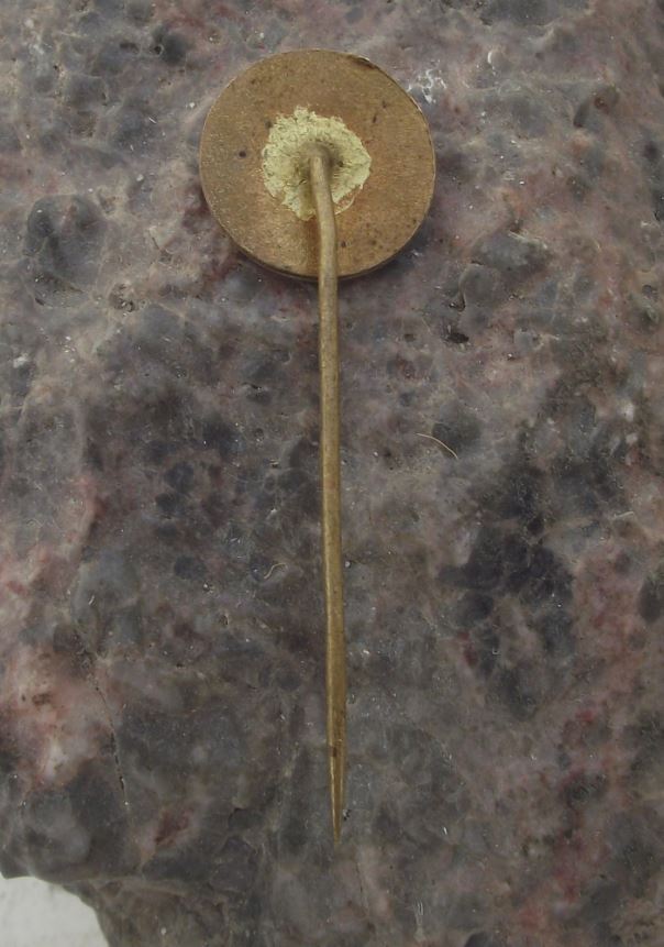 Antique VZ Wine Region Czech Producers Vineyard Vinarske Zavody Pin Badge - Badgecrazy